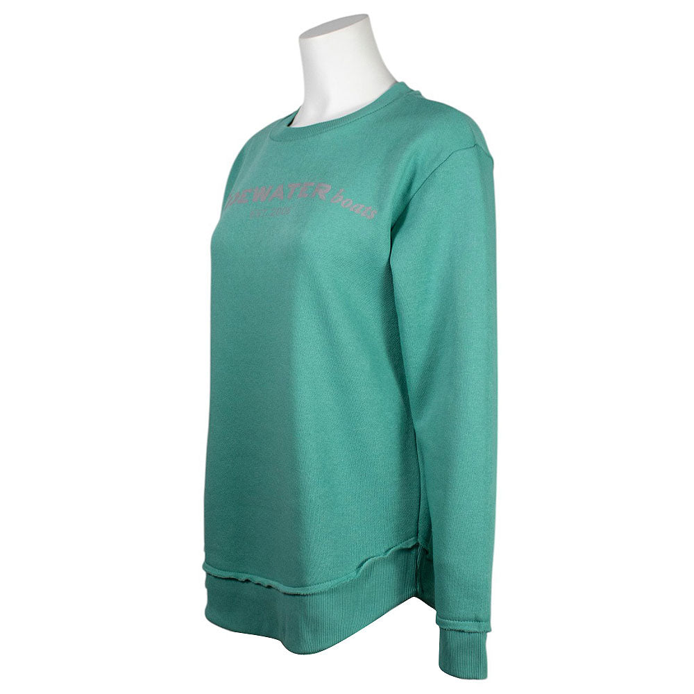 Teal sweatshirt with the tidewater logo across the chest.